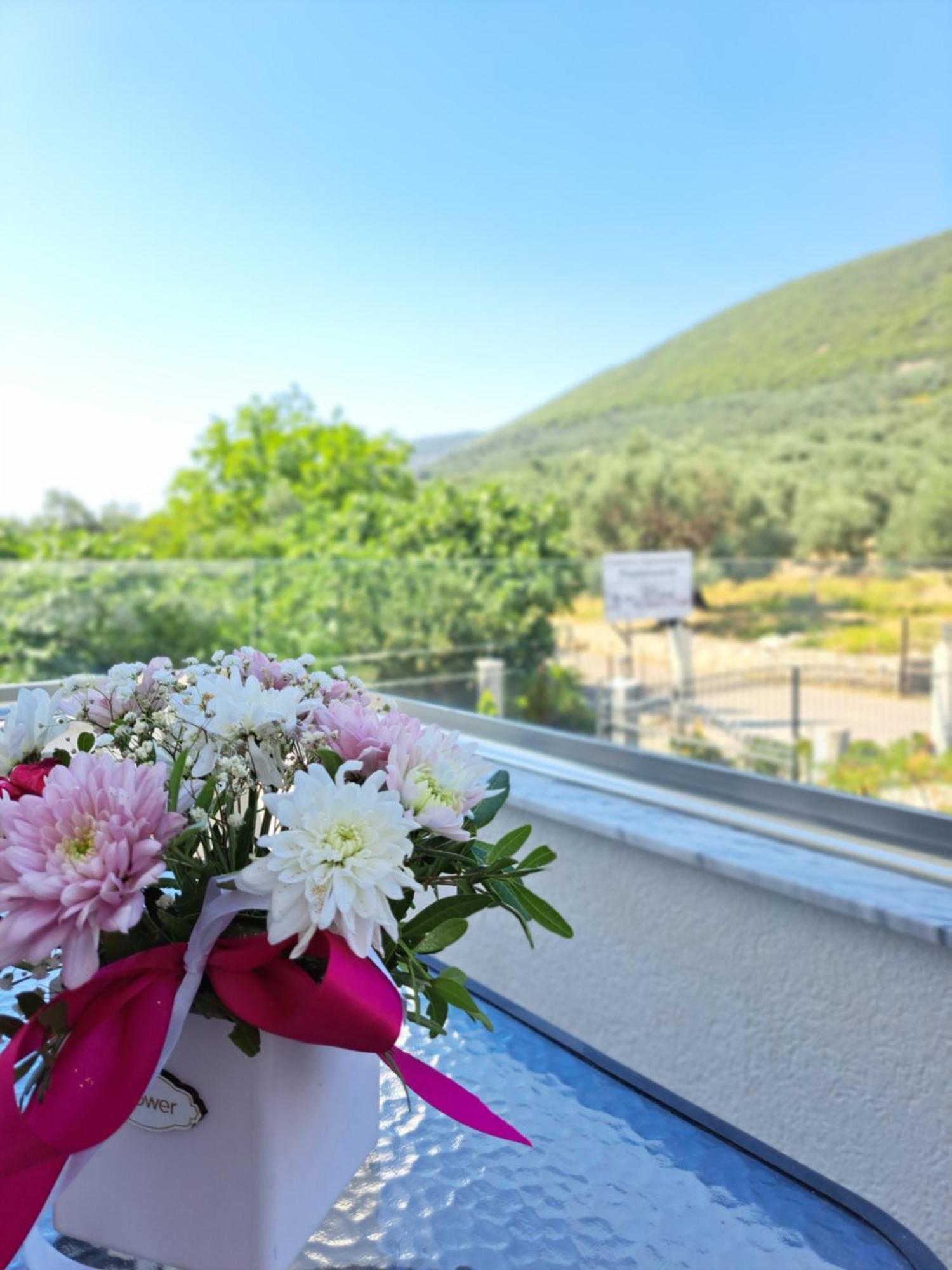 Apartments Pepdjonovic Ulcinj Exterior photo